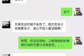 大丰为什么选择专业追讨公司来处理您的债务纠纷？